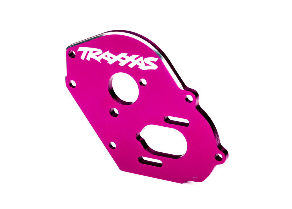 Traxxas Plate, motor, 6061-T6 aluminum (anodized) (4mm thick)/ 3x10mm CS with split and flat washer (2)