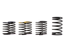 Load image into Gallery viewer, Exotek F1 Ultra Rear Spring Set